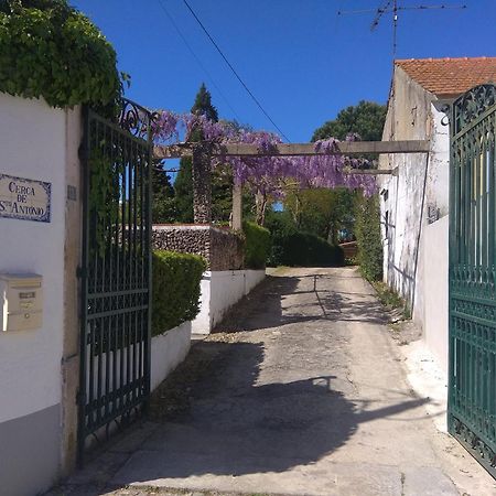 Casa Dos Arrabidos Konuk evi Torres Novas Dış mekan fotoğraf
