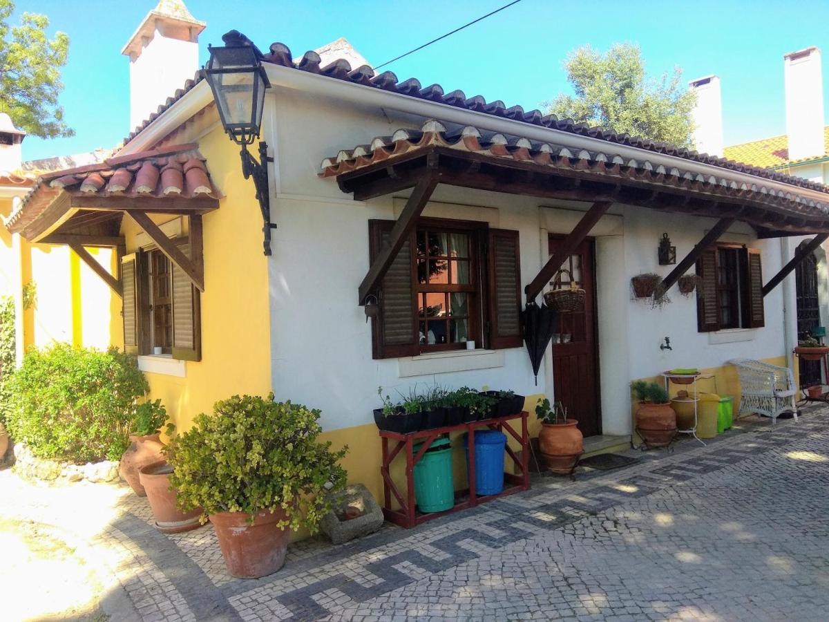 Casa Dos Arrabidos Konuk evi Torres Novas Dış mekan fotoğraf