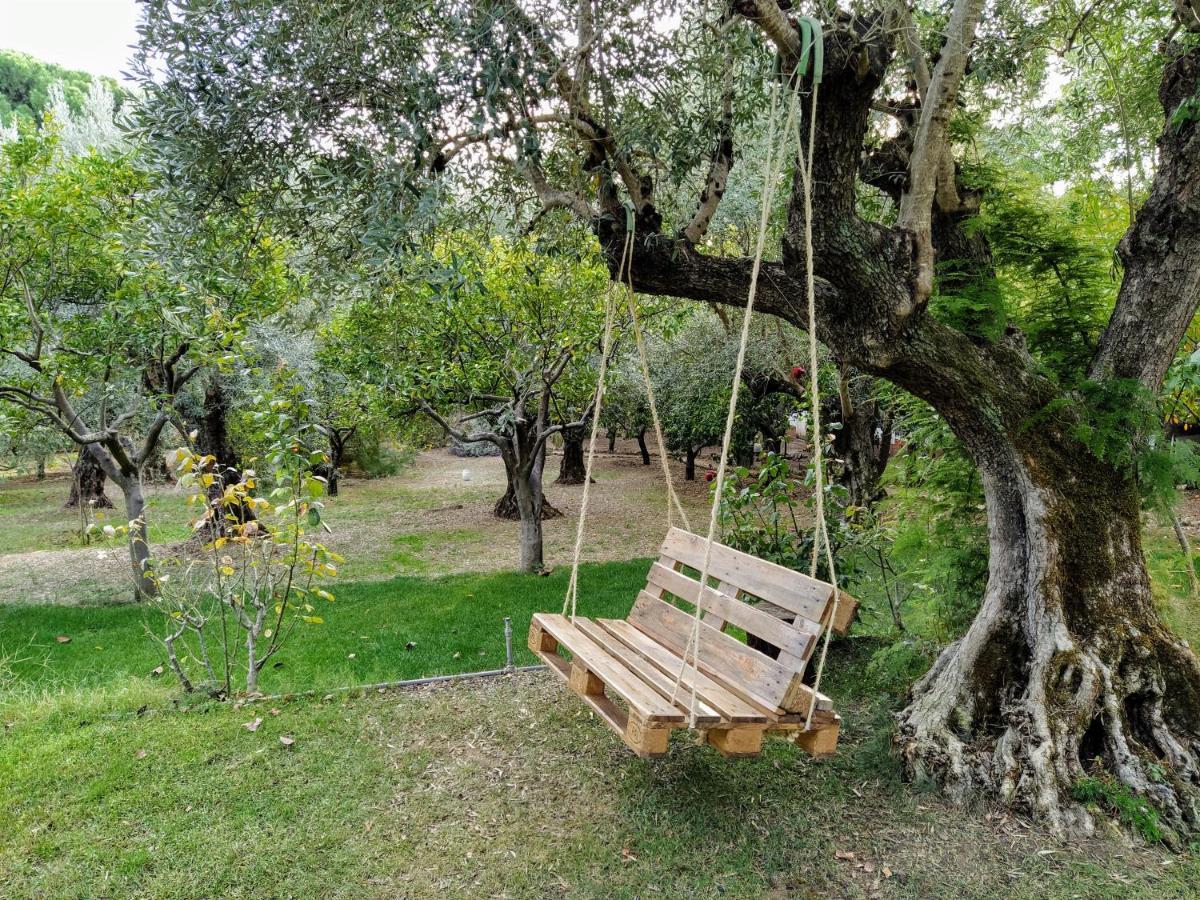 Casa Dos Arrabidos Konuk evi Torres Novas Dış mekan fotoğraf