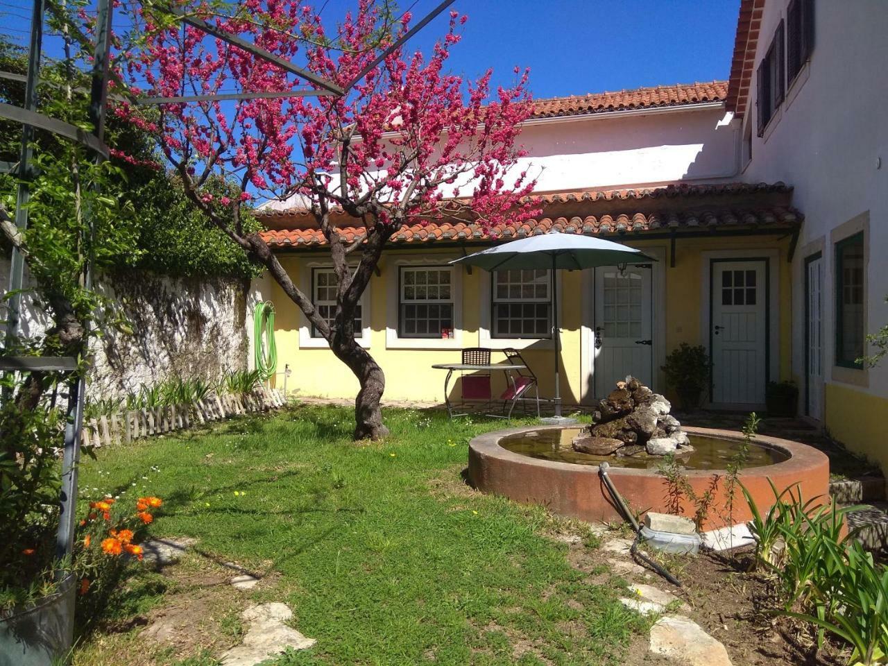 Casa Dos Arrabidos Konuk evi Torres Novas Dış mekan fotoğraf